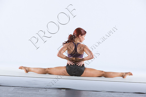 SARA0233